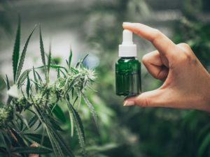 cbd-sklep-internetowy